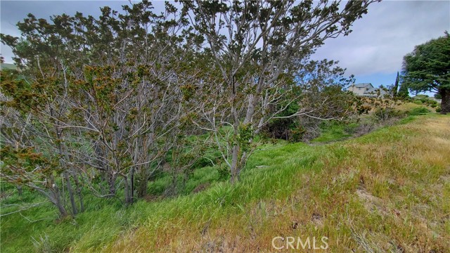 0 Rimford Drive Drive, Elizabeth Lake, California 93532, ,Land,For Sale,0 Rimford Drive Drive,CRSR23075504