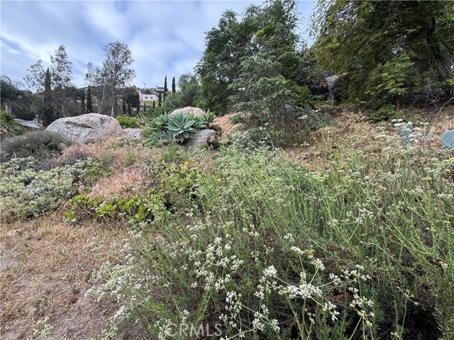 1233 Bonita Way, El Cajon CA: https://media.crmls.org/medias/4728bdd2-28b9-4563-ba03-d7eb2dcf4918.jpg