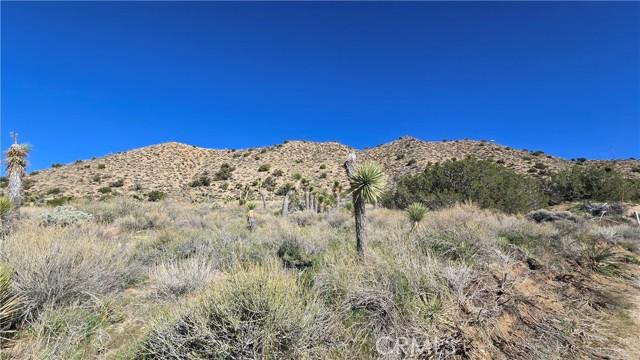 Detail Gallery Image 12 of 31 For 0 Pinon Road to Mescal Highlands, Llano,  CA 93544 - – Beds | – Baths