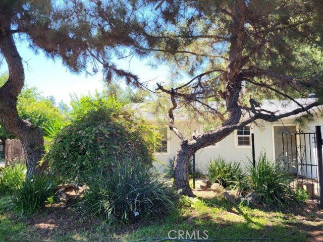 Detail Gallery Image 2 of 23 For 1129 Roy Dr, Oroville,  CA 65965 - 3 Beds | 1/1 Baths