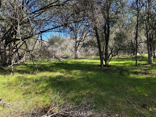 Detail Gallery Image 20 of 32 For 471 Ac - Hwy 49n, Mariposa,  CA 95338 - – Beds | – Baths