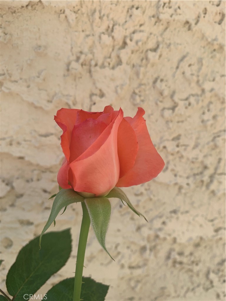https://media.crmls.org/medias/4733778d-42b8-43db-8ce3-3bff214afdc9.jpg?preset=X-Large