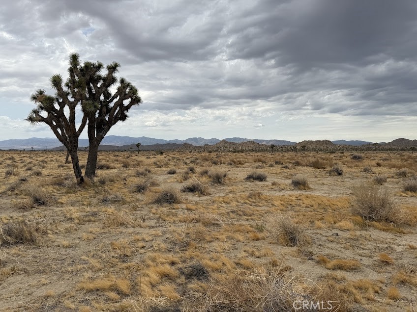 MLS #SR26165095 image #34