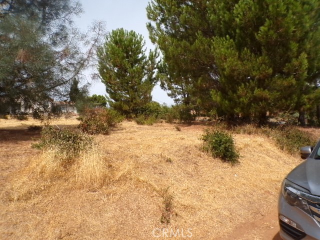10265 Fairway Drive, Kelseyville CA: https://media.crmls.org/medias/47388e2c-cbfa-4275-87c9-017d4472d4bc.jpg