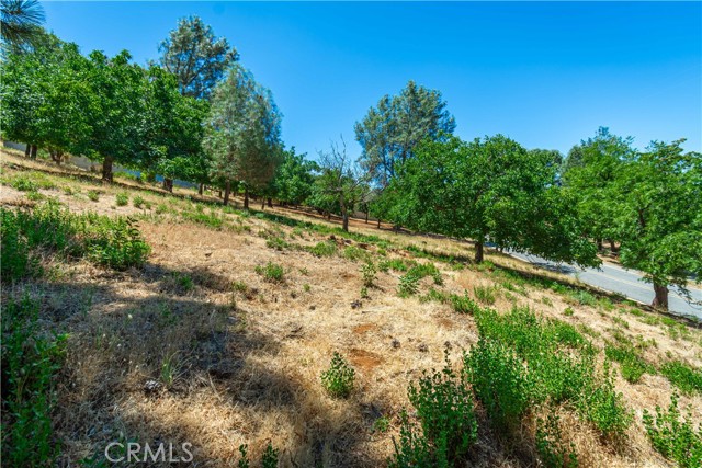 Detail Gallery Image 53 of 75 For 3126 Edgewood Drive, Kelseyville,  CA 95451 - – Beds | – Baths
