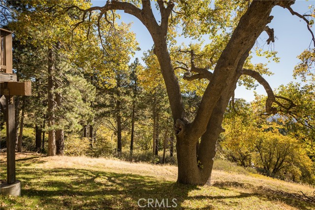 2461 Spring Oak Drive, Running Springs CA: https://media.crmls.org/medias/47461ba9-6e9f-4e28-bb07-4ab072296798.jpg