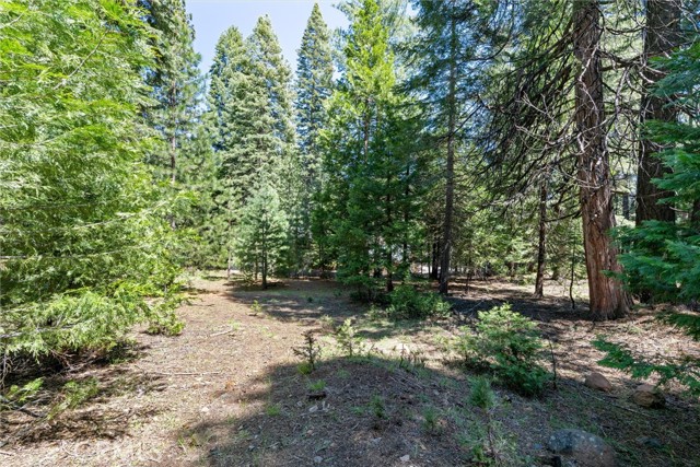 Detail Gallery Image 37 of 43 For 910 Clifford Dr, Almanor,  CA 96137 - 3 Beds | 2 Baths