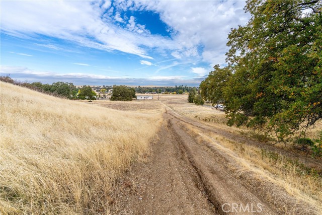 Detail Gallery Image 8 of 16 For 17315 Rancho Tehama Road, Corning,  CA 96021 - – Beds | – Baths