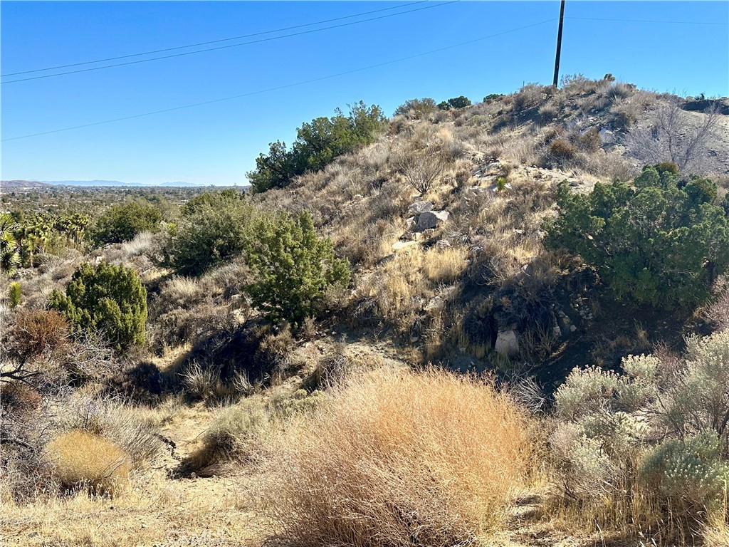 MLS #JT25040803 image #6