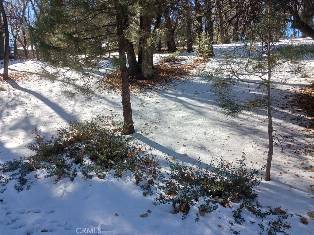 MLS #PW25007389 img 5