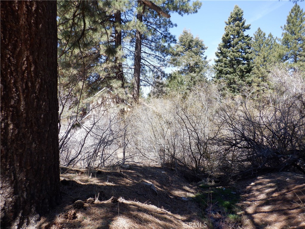 MLS #IV25083583 image #9