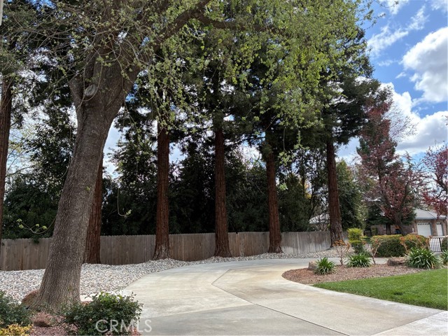 668 Gabriel Avenue, Yuba City CA: https://media.crmls.org/medias/47520d49-babe-4b97-b04f-261158cbfb61.jpg
