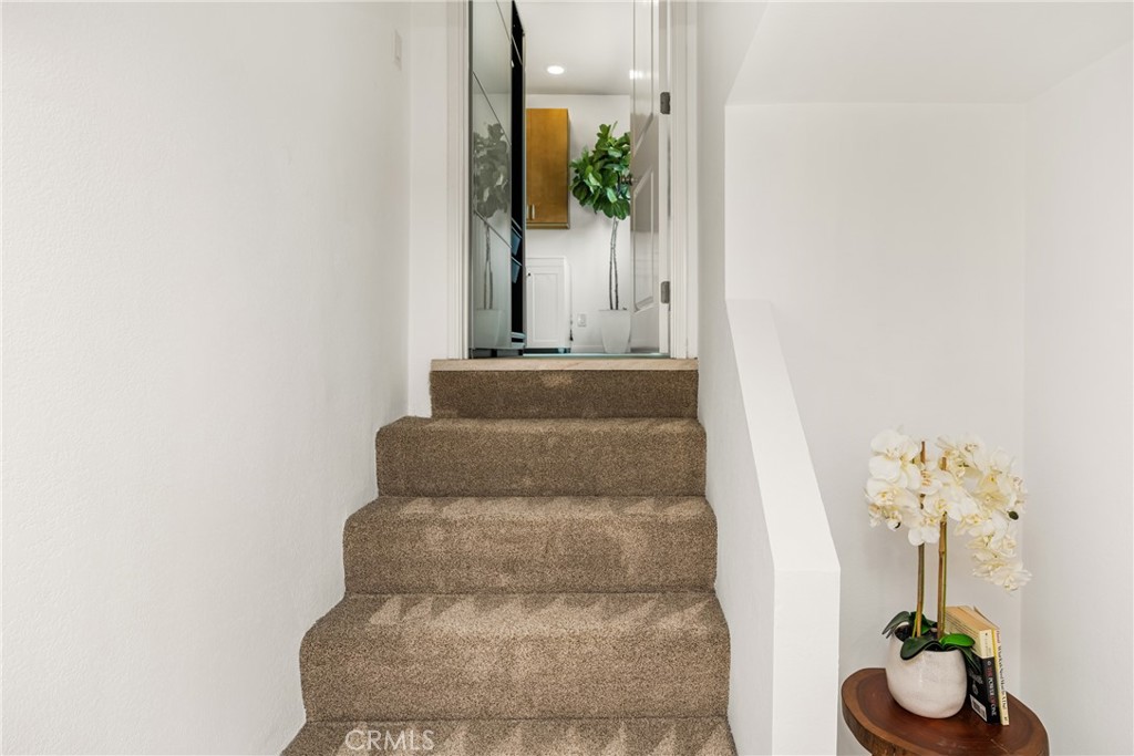 47555ad6 D1c0 4d8f 89d5 F0ccc246850b