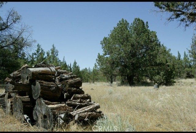 Detail Gallery Image 8 of 11 For 0 99xx Big Springs Rd, Montague,  CA 96064 - – Beds | – Baths