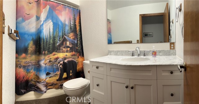 889 Mcalister Road, Big Bear CA: https://media.crmls.org/medias/475b44f0-d225-4e20-868e-8bf11ae73658.jpg