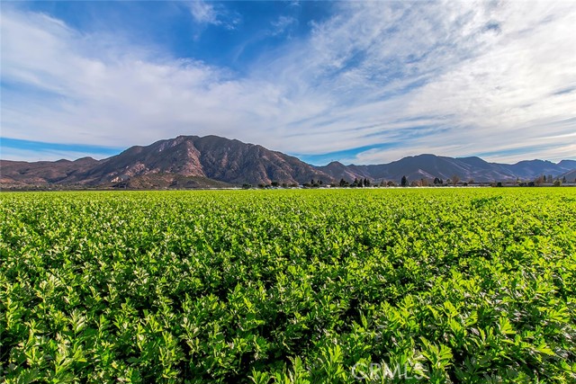 8152 Village 8, Camarillo CA: https://media.crmls.org/medias/475b9903-1158-4e7e-bc71-44da790e4000.jpg