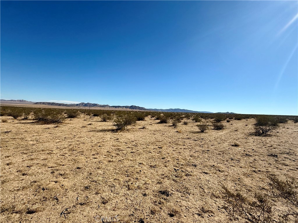 MLS #JT25208342 image #8