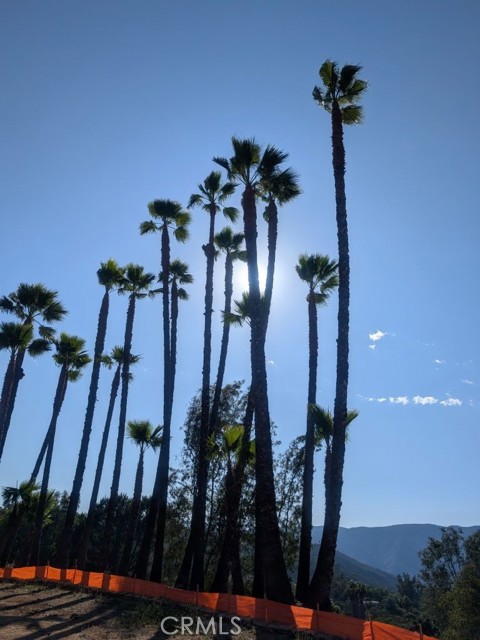 4287 Rosa Rancho Lane, Fallbrook CA: https://media.crmls.org/medias/4763c378-ea74-49a9-a9e1-6e606ca20c39.jpg