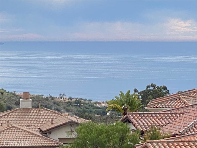 MLS #OC25234691 image #36