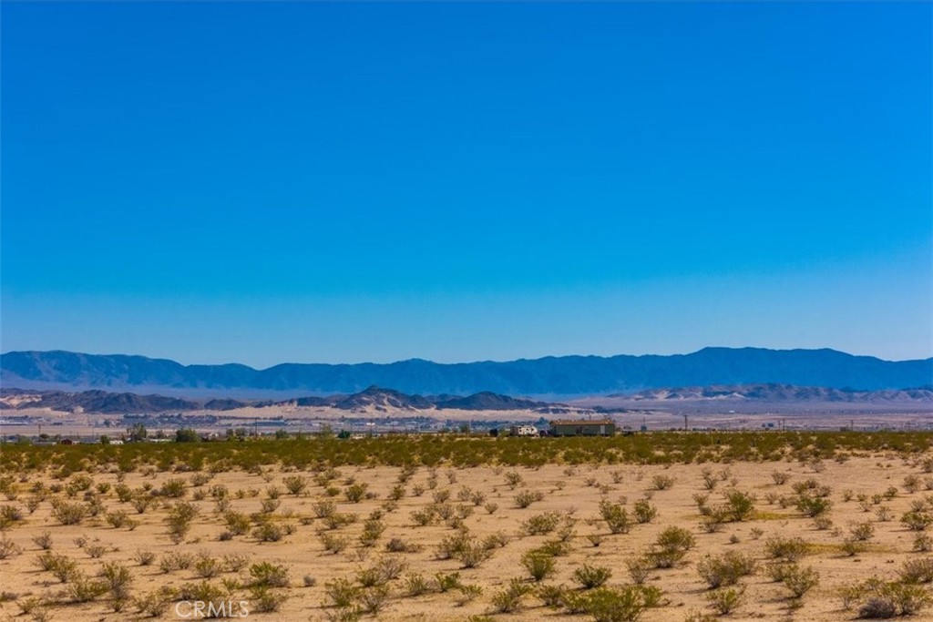 MLS #JT25225678 image #13