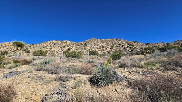 Detail Gallery Image 7 of 31 For 0 Pinon Road to Mescal Highlands, Llano,  CA 93544 - – Beds | – Baths