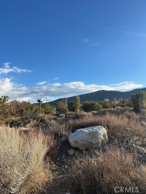 Detail Gallery Image 6 of 6 For 0 Yucca, Pinon Hills,  CA 92372 - – Beds | – Baths