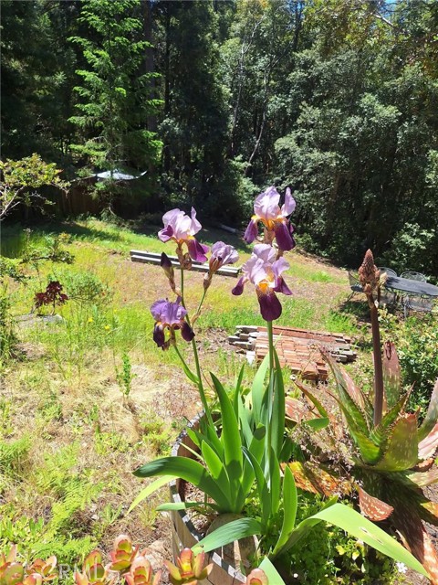 Detail Gallery Image 24 of 58 For 38160 Ocean Ridge Dr, Gualala,  CA 95445 - – Beds | – Baths