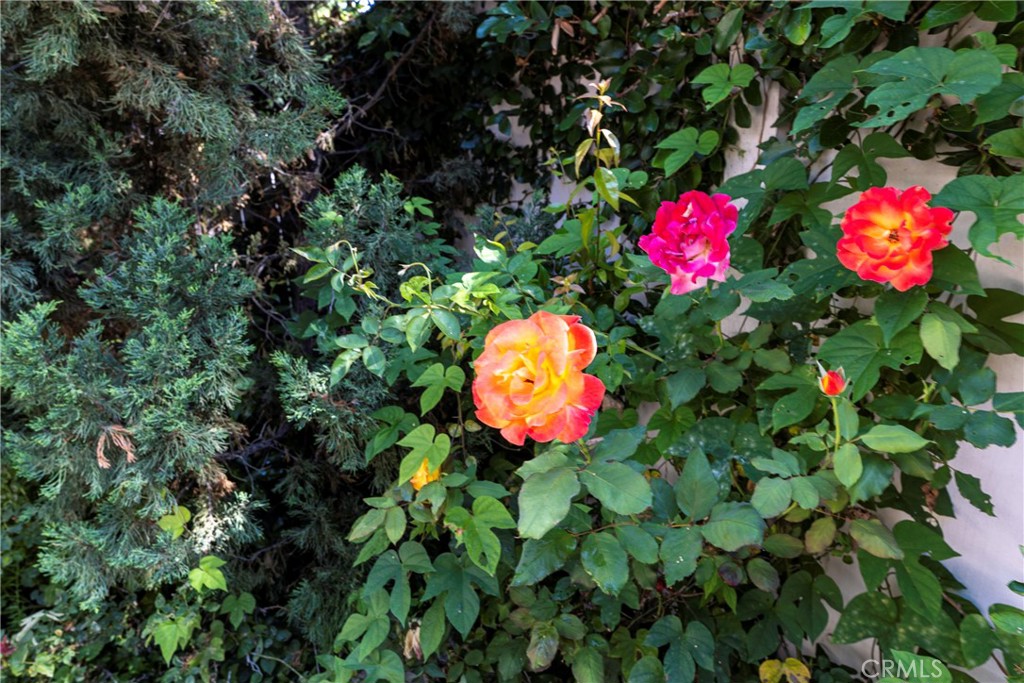 https://media.crmls.org/medias/476c06c2-74ff-4902-a7f0-59555067fcd2.jpg?preset=X-Large