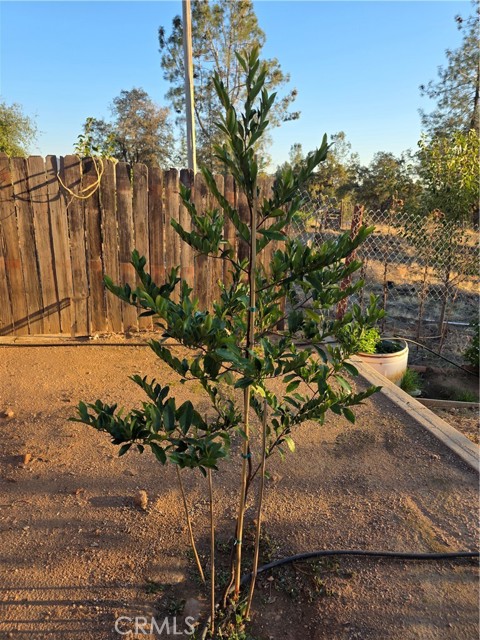 Detail Gallery Image 52 of 64 For 4760 Hirsch #B,  Mariposa,  CA 95338 - 2 Beds | 1 Baths