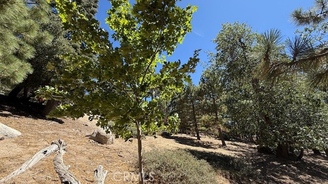 Detail Gallery Image 7 of 15 For 0 Piedras Grande, Green Valley Lake,  CA 92341 - – Beds | – Baths