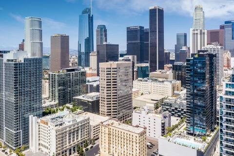 801 S Grand Avenue Unit 2111