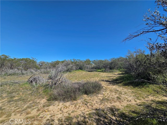 Detail Gallery Image 5 of 14 For 0 Pony Trail, Anza,  CA 92539 - – Beds | – Baths