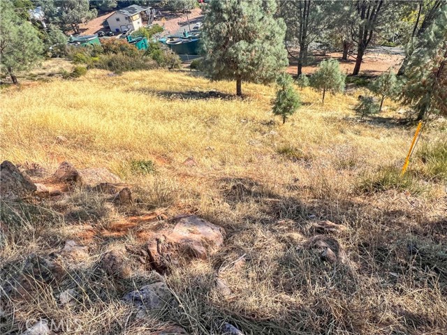 Detail Gallery Image 7 of 9 For 10203 El Capitan, Kelseyville,  CA 95451 - – Beds | – Baths