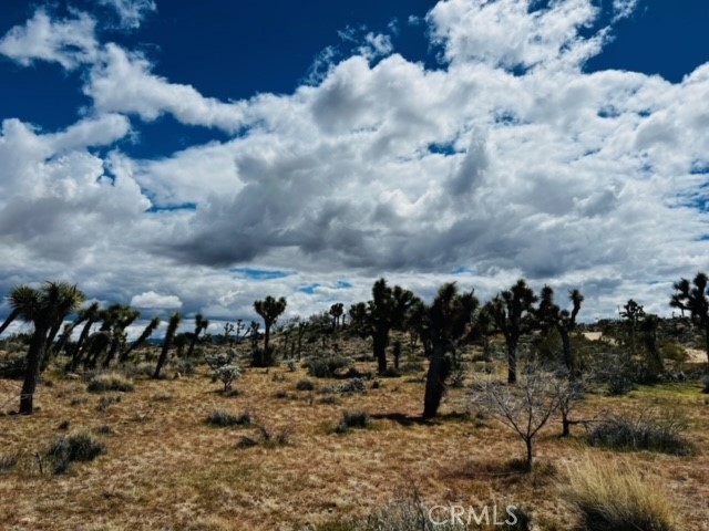 Detail Gallery Image 15 of 16 For 57864 Sunflower Dr, Yucca Valley,  CA 92284 - – Beds | – Baths