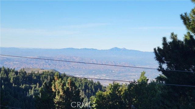 Detail Gallery Image 7 of 16 For 1933 Willow Dr, Running Springs,  CA 92382 - 3 Beds | 2 Baths