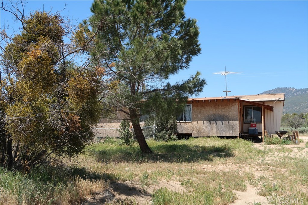 55490 Pinetree Lane