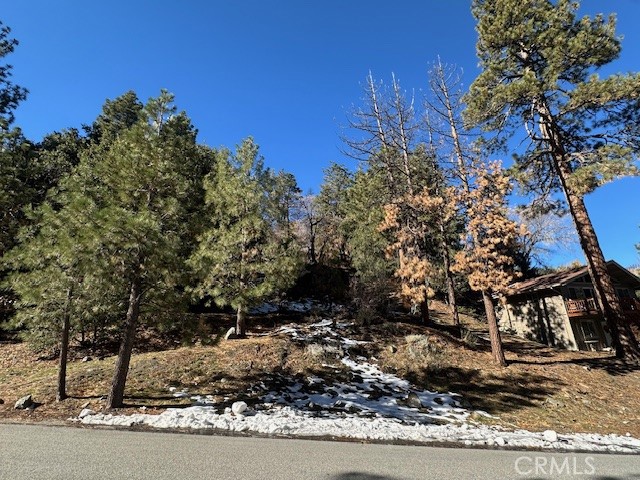 Detail Gallery Image 3 of 11 For 0 Flume Canyon, Wrightwood,  CA 92397 - – Beds | – Baths