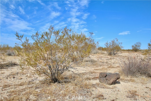 Detail Gallery Image 4 of 7 For 0 Moonlight Mesa Ave, Joshua Tree,  CA 92252 - – Beds | – Baths