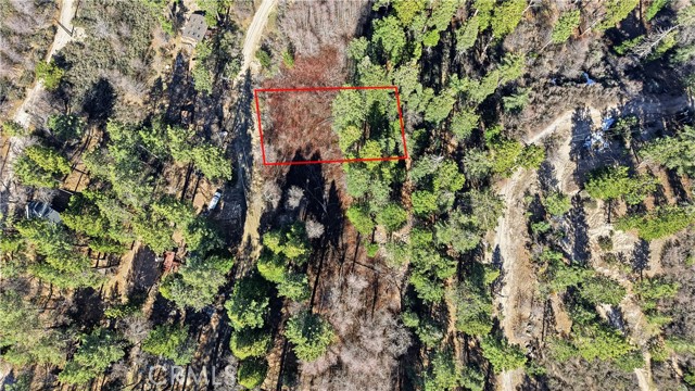 Detail Gallery Image 7 of 7 For 0 Little Bear Ck, Cedar Glen,  CA 92321 - – Beds | – Baths