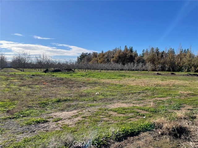 0 Justeson, Gridley, CA, 95948 0 Justeson, Gridley, CA, 95948