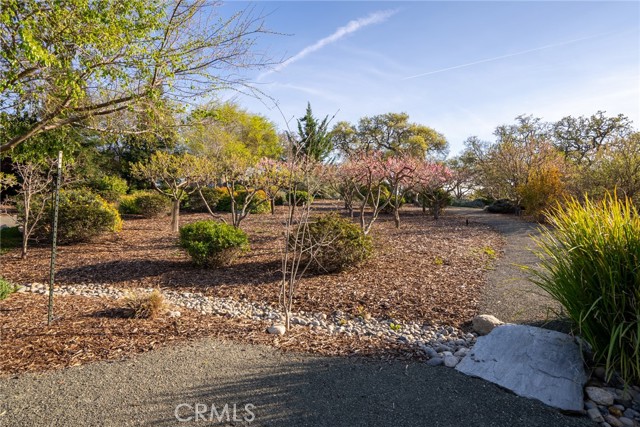 Detail Gallery Image 53 of 63 For 2985 Warm Springs Ln, Templeton,  CA 93465 - 4 Beds | 4/1 Baths
