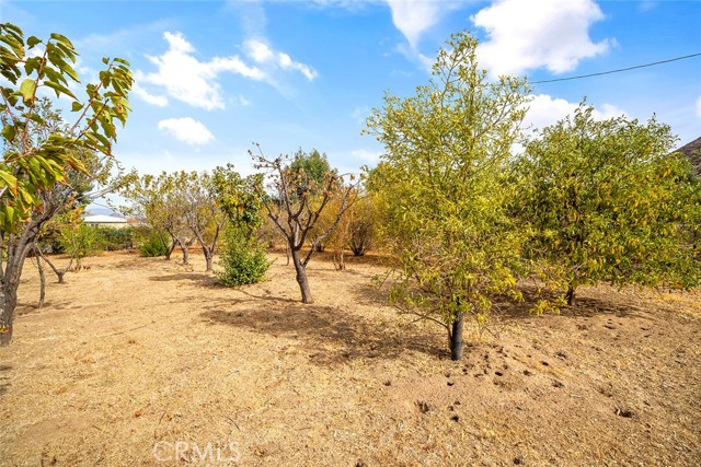 Detail Gallery Image 37 of 74 For 28736 Warren Rd, Hemet,  CA 92545 - 4 Beds | 3/1 Baths