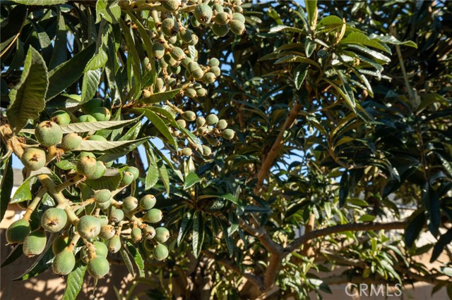 Detail Gallery Image 39 of 46 For 520 S Adria St, Anaheim,  CA 92802 - 4 Beds | 2 Baths