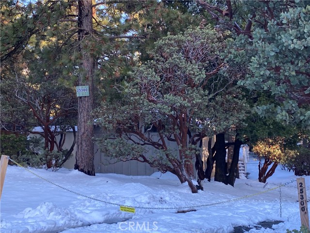 Detail Gallery Image 17 of 21 For 25300 Marion Ridge Dr, Idyllwild,  CA 92549 - 3 Beds | 2 Baths