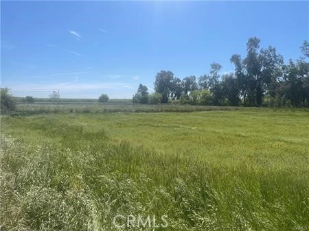 Front Image Thumbnail for CRMC26026589