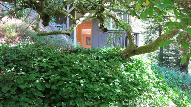 21455 Delta Way, Monte Rio CA: https://media.crmls.org/medias/47c416f6-9133-4bb9-9ea9-1f675d1ec40f.jpg