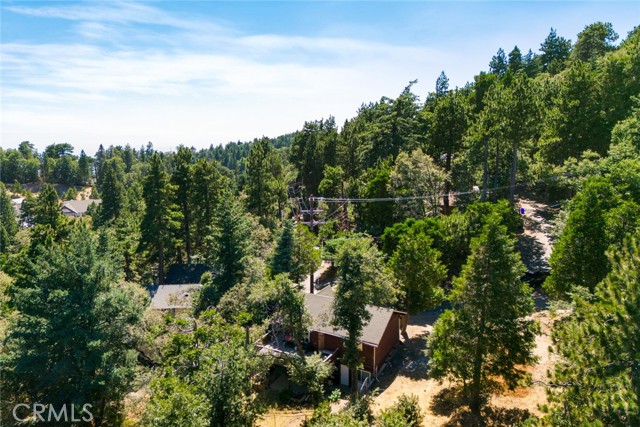 Detail Gallery Image 40 of 40 For 1207 Scenic Way, Rimforest,  CA 92378 - 3 Beds | 2 Baths