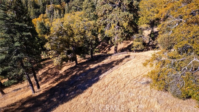 Detail Gallery Image 13 of 40 For 0 Mojave River Rd, Cedarpines Park,  CA 92322 - – Beds | – Baths