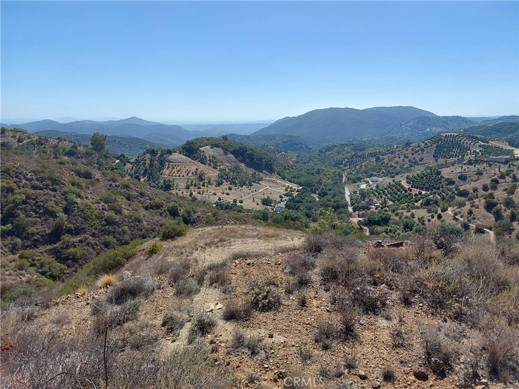 MLS #SW25229548 image #9