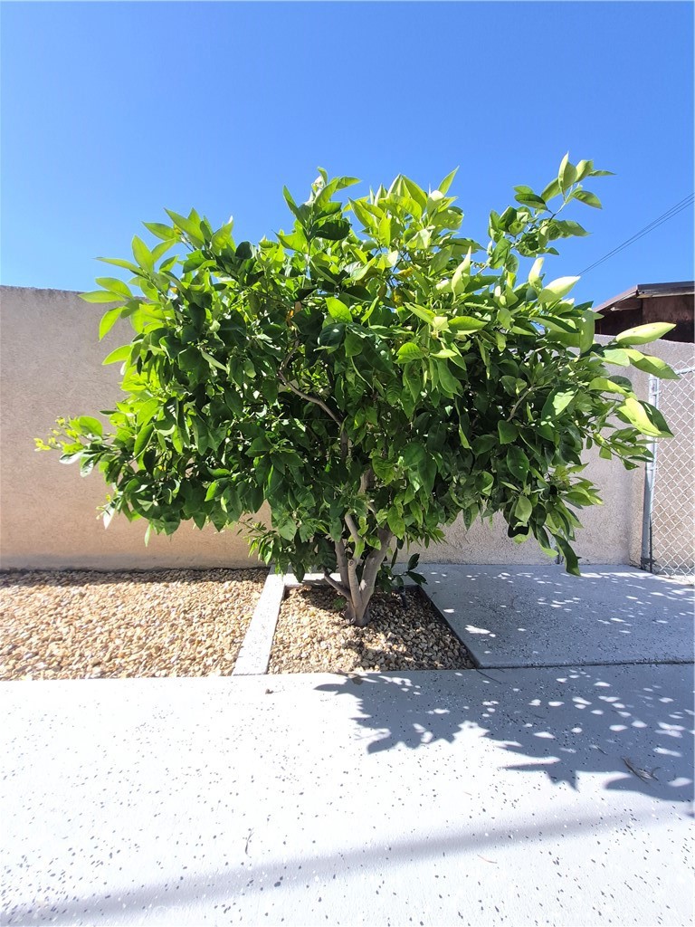 https://media.crmls.org/medias/47d21b8e-3338-4394-b609-acd435d92409.jpg?preset=X-Large